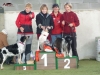 tessy-ratenice-2012-2 agility 4 11 2012