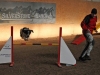 agility-svojetice-160313-2