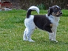 bandito-28032014-10