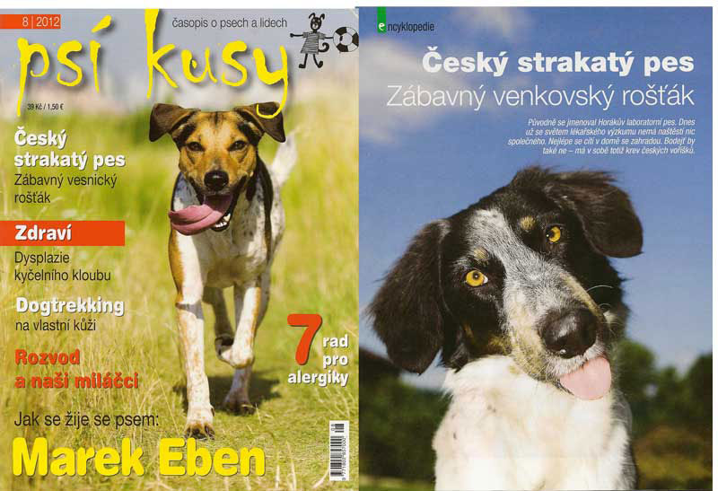 psi-kusy-8-2012