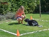 obedience-1