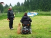 obedience-4
