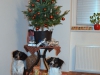 christmas-2013-3