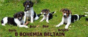 B Bohemia Beltain